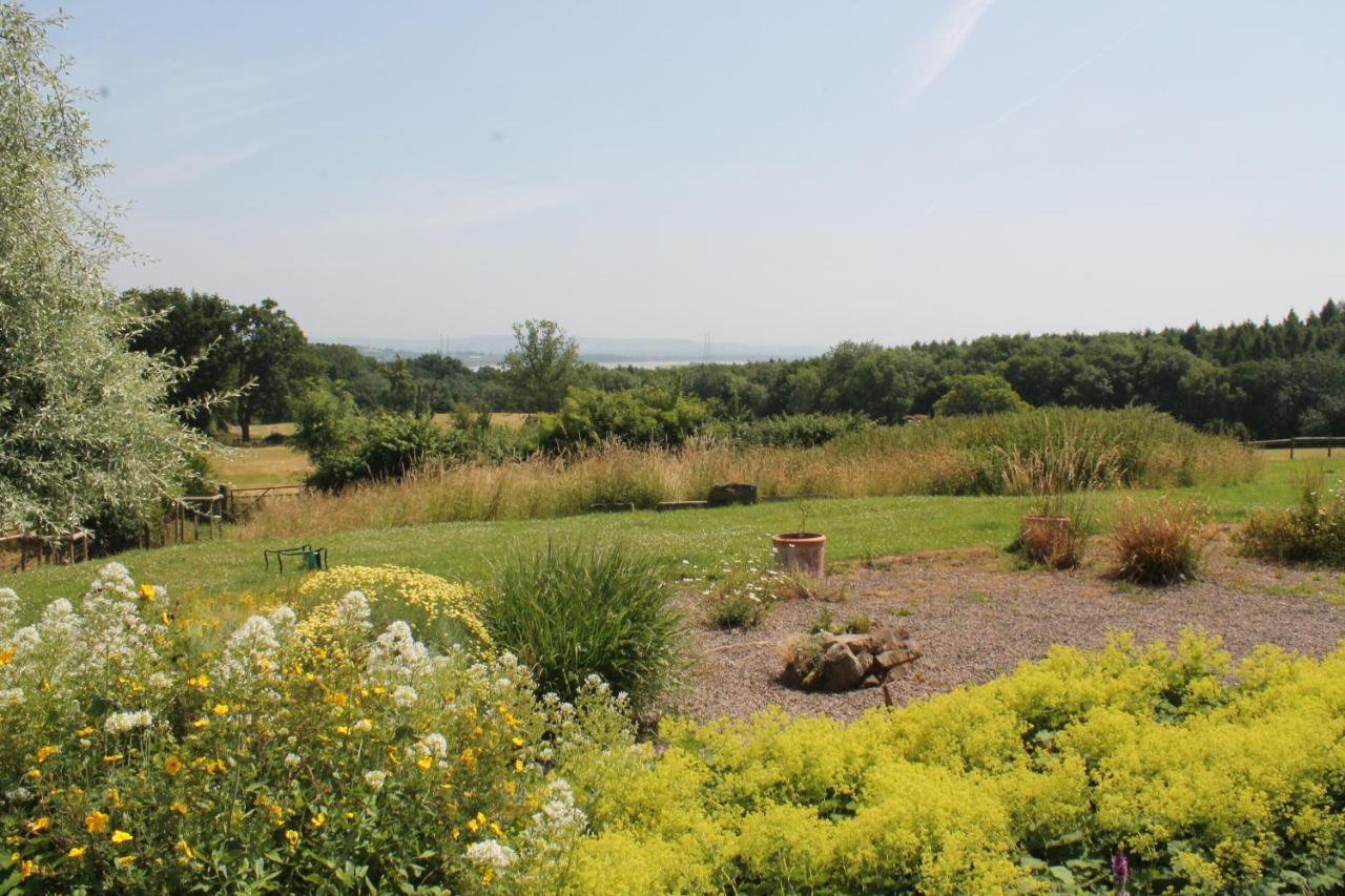 Grove Farm B&B Newnham  Dış mekan fotoğraf